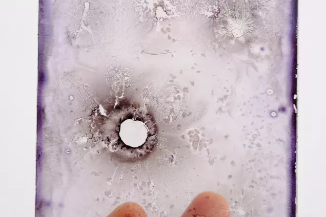 A hand holds a transparent disk. Photo.
