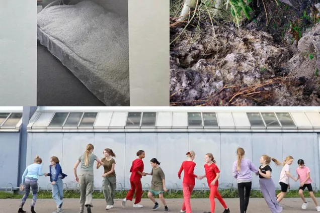 Image collage with pupils, nature and a bed. Photo.