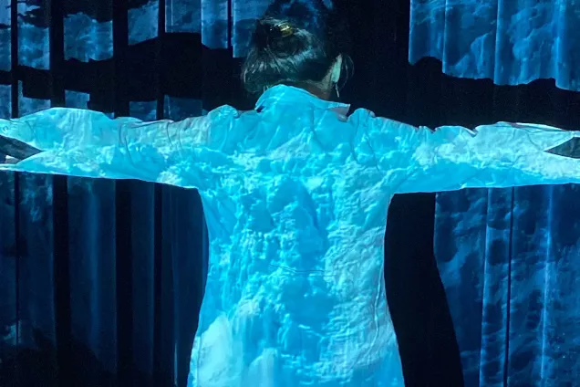 Steinunn_Knuts_Onnudottir_75_seminar_IMAGE.jpg Person from behind with blue video projection on his back. Photo.