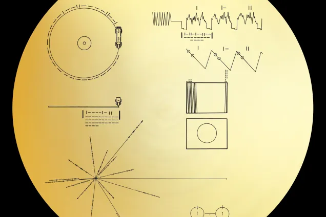 Circle with graphic characters. Illustration.